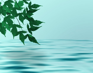 Similar image 682292