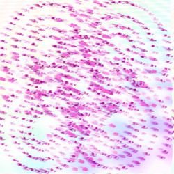 Similar image 682294