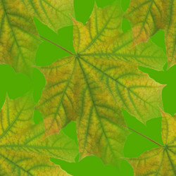 Similar image 682297