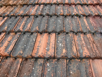 Similar image 682406