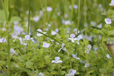 Similar image 682407