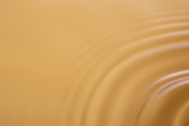 Similar image 682496