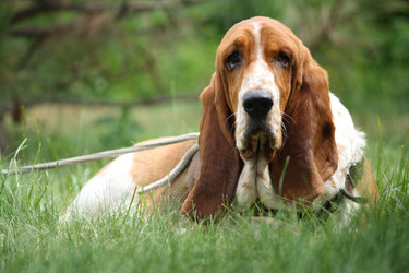 Similar image 682497