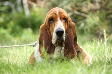 Similar image 682499