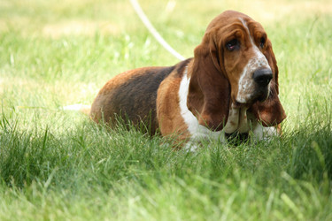 Similar image 682501