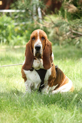 Similar image 682502