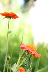 Similar image 682503