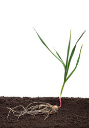 Similar image 682527