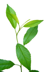 Similar image 682530