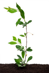 Similar image 682531