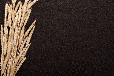 Similar image 682541