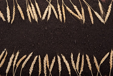 Similar image 682542