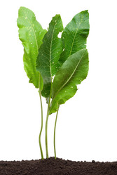 Similar image 682551