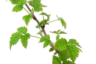 Similar image 682563