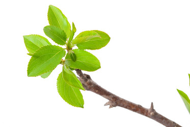 Similar image 682564