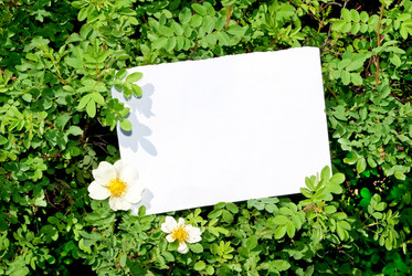 Similar image 682565