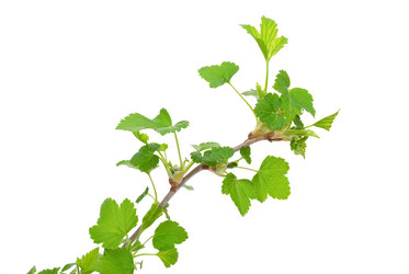 Similar image 682566