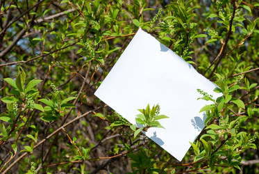 Similar image 682582