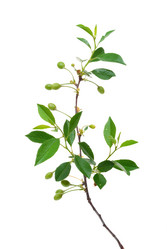 Similar image 682588