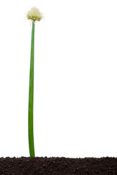 Similar image 682593