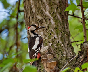 Similar image 682594