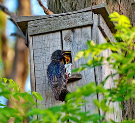 Similar image 682595