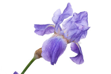 Similar image 682603