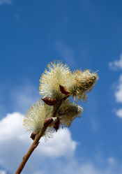 Similar image 682610