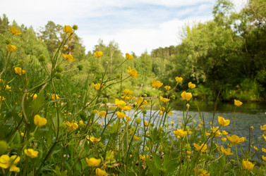 Similar image 682612