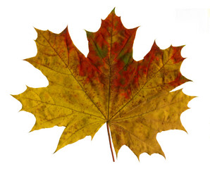 Similar image 682640