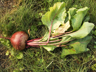 Similar image 682642