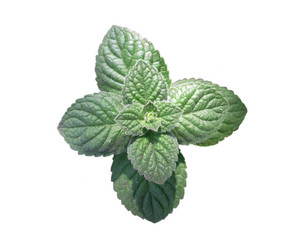 Similar image 682644