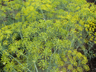 Similar image 682645