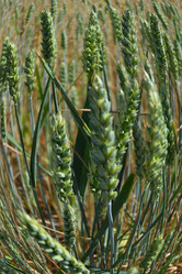 Similar image 682656