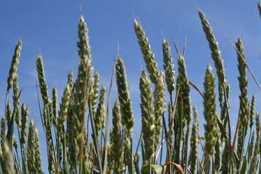 Similar image 682657