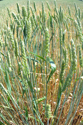 Similar image 682661