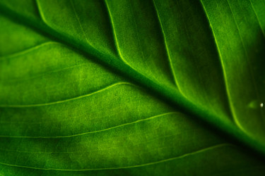 Similar image 682734