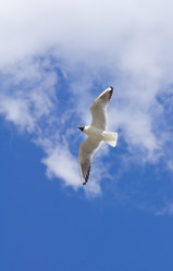 Similar image 682792