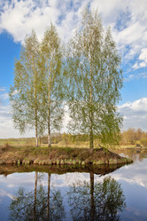 Similar image 682796