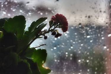 Similar image 682821