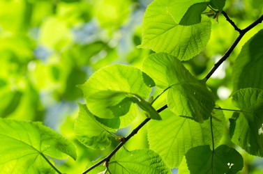 Similar image 682844