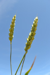 Similar image 682854