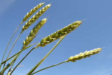 Similar image 682855