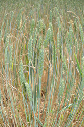 Similar image 682856