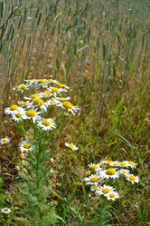 Similar image 682858