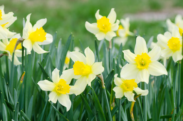 Similar image 682859