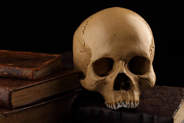 Similar image 682862