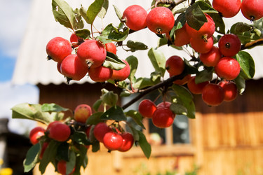 Similar image 682894