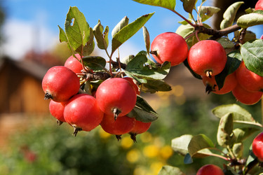 Similar image 682896