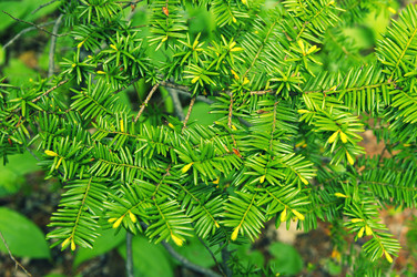 Similar image 682898